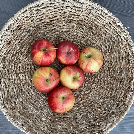 Josef Im Edt Grossarl