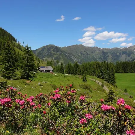 Daire Josef Im Edt *